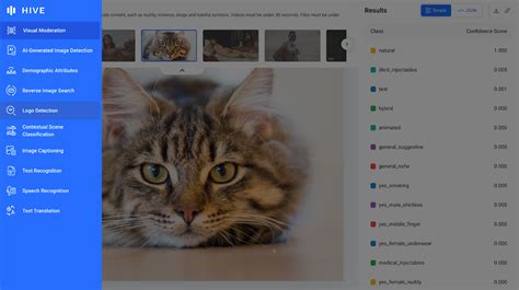 Is Computer Vision a Scam 的图像结果