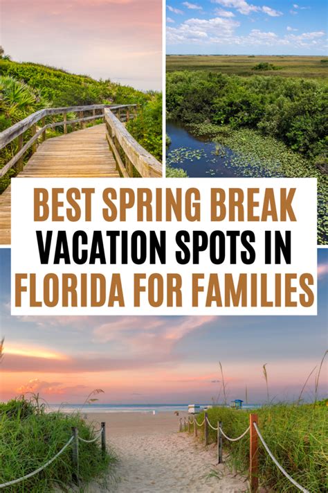 Florida Spring Break Destinations 的图像结果