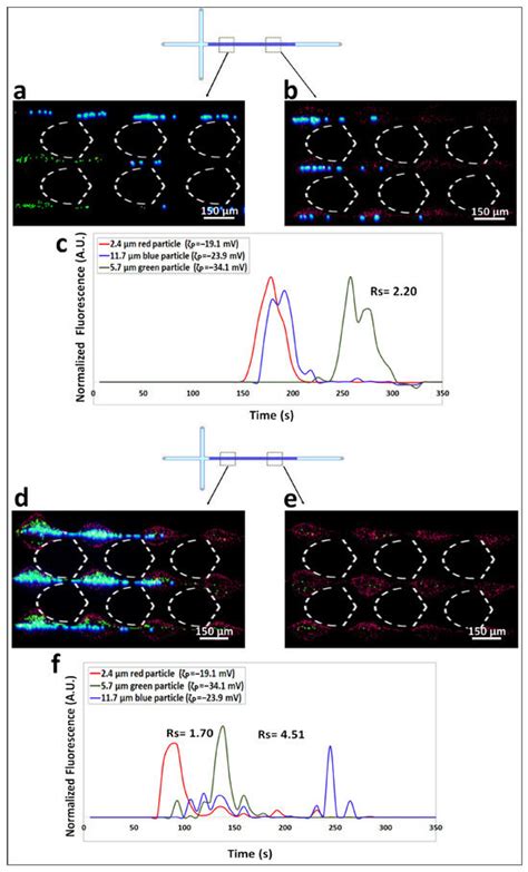 Biosensors | Special Issue : Advanced Microfluidic Devices and Lab-on ...