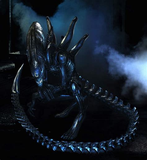 Image result for Alien vs Predator Xenomorph