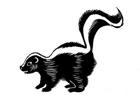 Pin by belinda tash on crafts | Skunk drawing, Animal illustration art ...