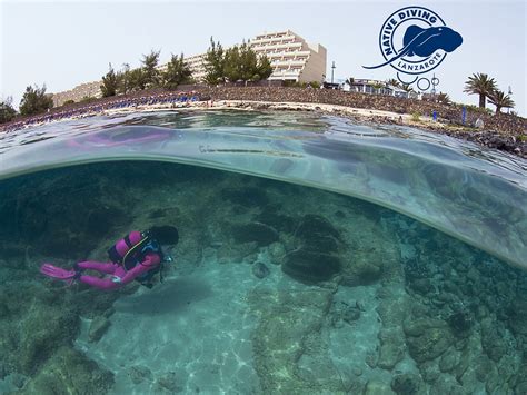 NATIVE DIVING LANZAROTE (2026) All You Need to Know BEFORE You Go (w ...