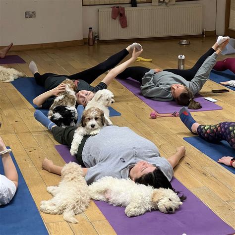 Puppy Yoga Edinburgh - O que saber antes de ir (ATUALIZADO 2026)