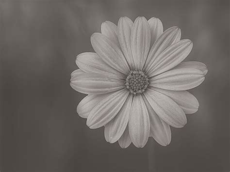 Auberry Funeral Home & Cremation Services | Campbellsville KY funeral ...