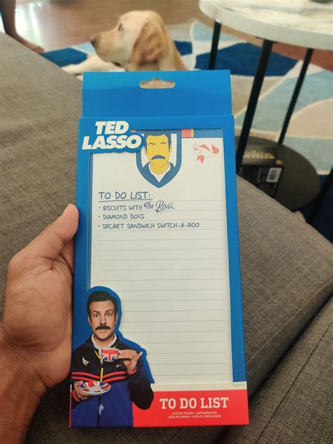 Sister heard me talk about wanting Ted Lasso merch so she picked this ...