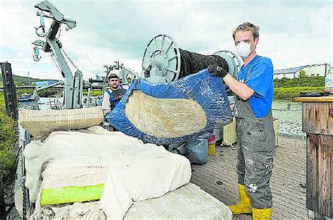 selbständige Mitarbeiterin gesucht in Völklingen-Lauterbach | Sonstiges ...