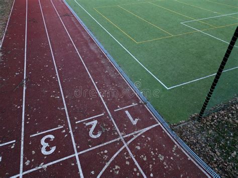 Running Field 的图像结果