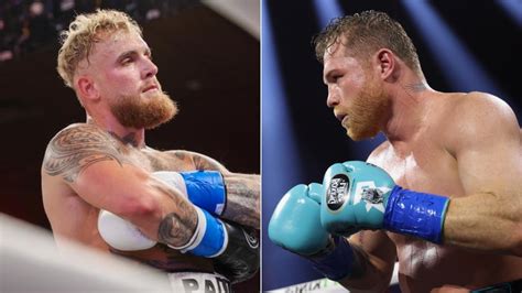 Will Jake Paul fight Canelo Alvarez next? Here's what the boxers have ...