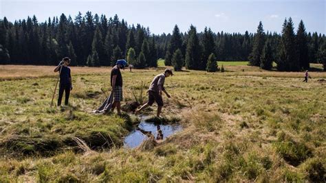 Discover Czechia through volunteering, Družba, Plzen, 18 May 2023 ...