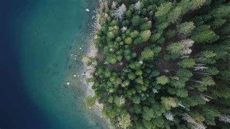 We’re adopting a framework aimed at driving reductions of impact on nature