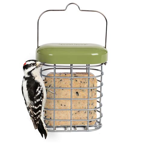 Fat Ball Hanging Bird Feeder - Jacobi Jayne® Premium Suet Feeder For ...