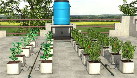 Jain Irrigation Systems A239 Drip Irrigation Kit Price in India - Buy ...