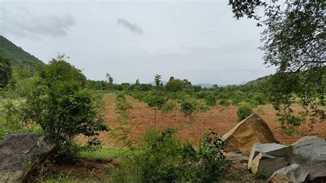CAMP LINGER, ALPHONSO BY THE LAKE, NACHIKUPPAM (Krishnagiri ...