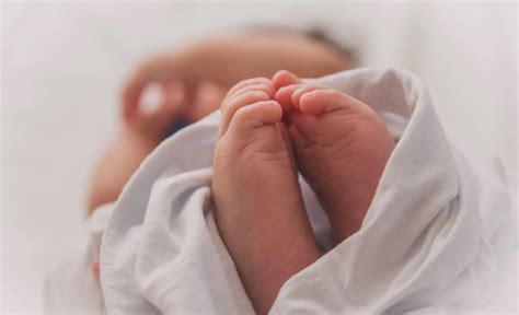孕8-10周是胎儿畸形和胎停育高发期，5点预防措施要记牢 - 百度宝宝知道
