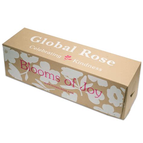 Buy 75 X Long Stems of Cream with Raspberry Edges Purple Cezanne Roses ...