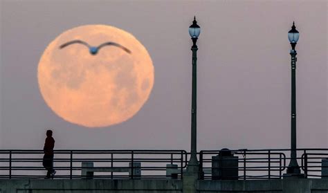 This supermoon has a twist – expect flooding, but a lunar cycle is ...