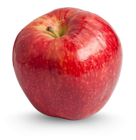 Image result for Apple Basic Programming Example