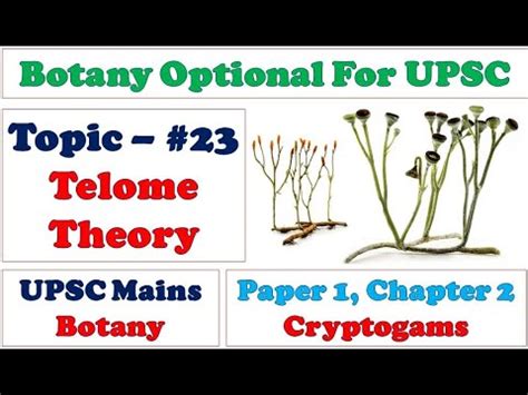 Telome Theory: Overtopping: Reduction: Planation: Syngenesis: Curvation ...