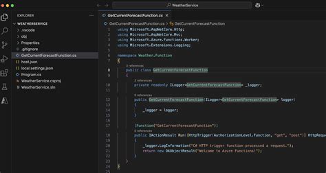 C# How to Use Azure Functions API 的图像结果