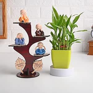 FlowerAura Air Purifying Live Indoor 2 Layer Lucky Bamboo Plant In ...