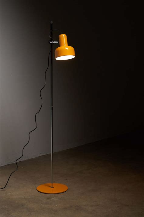 Peanut Floor Lamp - Stylish Lighting Solution