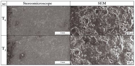 Tracing Old Gestures: A Multiscale Analysis of Ground Stone Tools ...