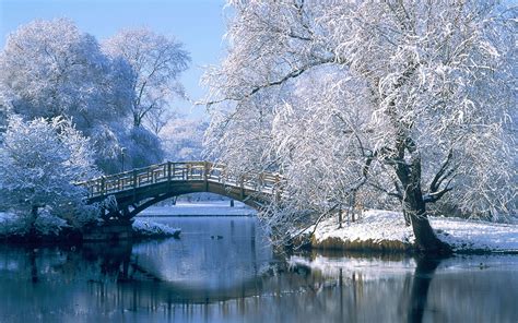 Bing Wallpaper Winter Scenes 的图像结果