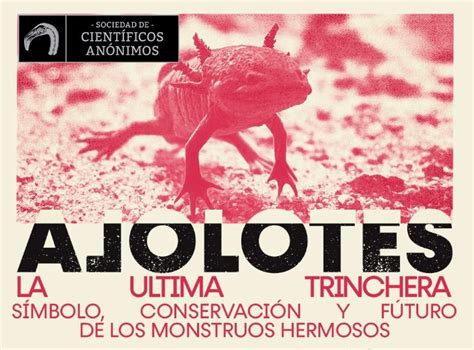 La última trinchera para el AXOLOTL, Huerto Roma Verde, Ciudad De ...