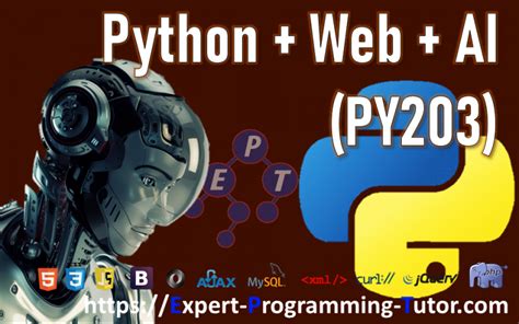 Python Programming Expert 的图像结果