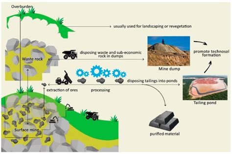 Bringing Life Back into Former Mining Sites: A Mini-Review on Soil ...