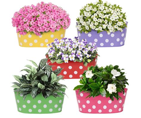 Go Hooked Metal Hanging Planter | Metal Railing Planter 12 Inch (Set of ...