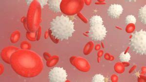 Stem Cell Process 的图像结果