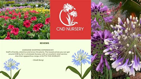 Easter Egg Hunt & Garden Education , 44 2nd Ave, Linbro Park ...