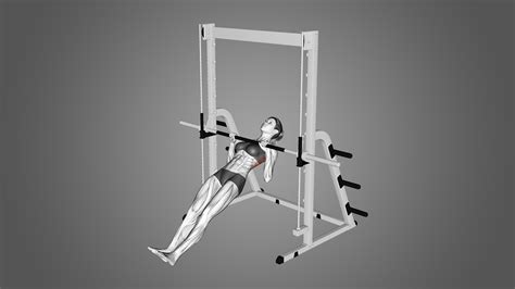 Image result for Inverted Row Exercise Muscles Worked