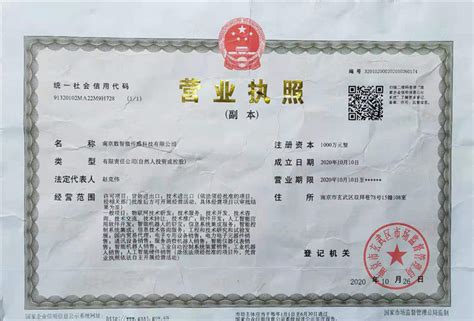 营业执照-南京数智微传感科技有限公司