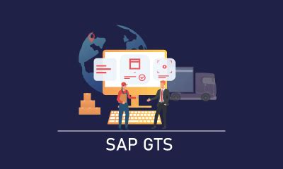Image result for SAP GTS Implementation Guide