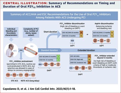 Timing, Selection, Modulation, and Duration of P2Y12 Inhibitors for ...
