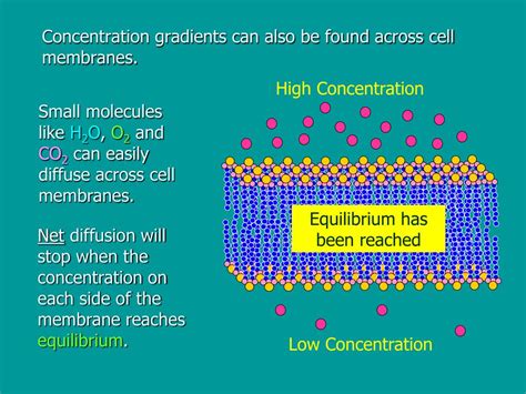 Diffusion 的图像结果