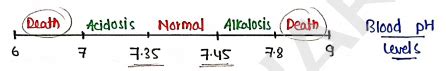 Pharmaceutical Inorganic Chemistry Unit 2 Notes - 1st Semester B ...