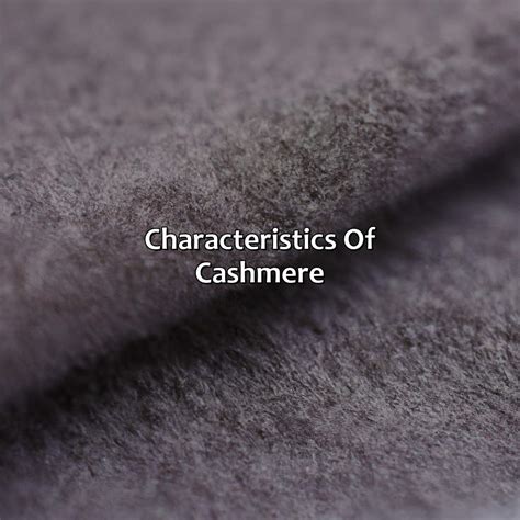 What Color Is Cashmere - colorscombo.com