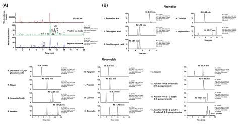 Water Extract of Agastache rugosa Prevents Ovariectomy-Induced Bone ...