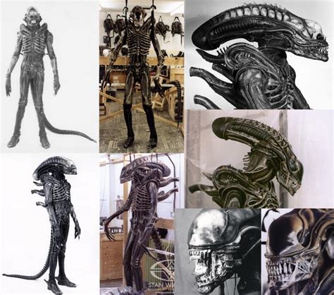 Image result for Alien Comparison