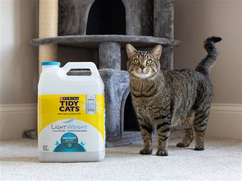 Tidy Cats Litter Comparison at Savannah Eades blog