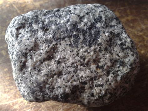 我们的岩石标本-小学科学教学网