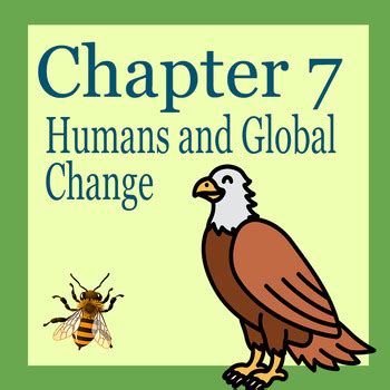 Image result for Bee Conditional Code Lesson 7 Chapter 7