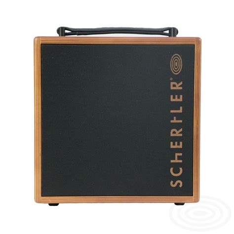 Schertler Giulia 50 Watt Acoustic Amplifier : Amazon.in: Musical ...