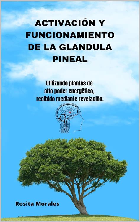 ACTIVACIÓN Y FUNCIONAMIENTO DE LA GLANDULA PINEAL: Utilizando plantas ...