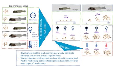 Understanding Fish Larvae’s Feeding Biology to Improve Aquaculture ...