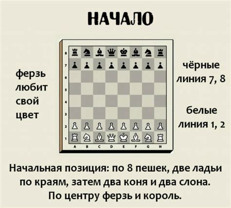 Уроки игры в шахматы для начинающих детей - Компьютерный справочник