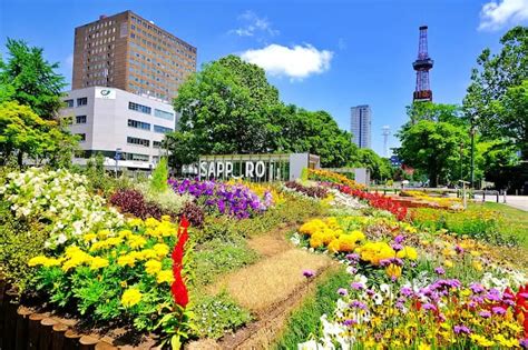 Image result for 3D Visualization Mapping Software